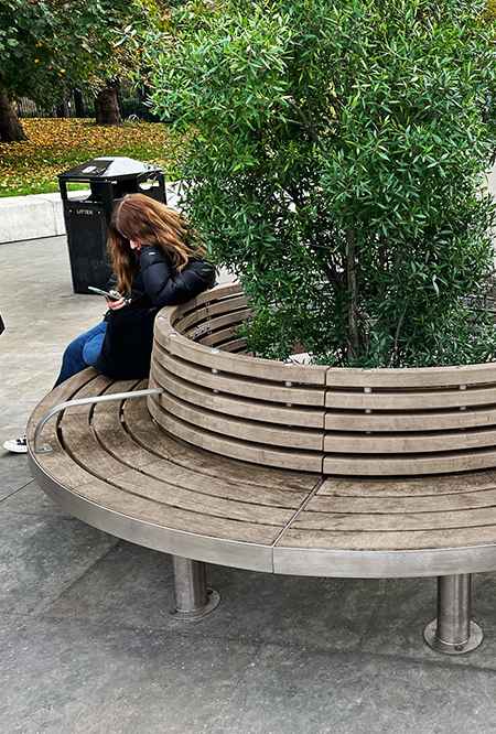 Tree seat in hardwood Factory Furniture