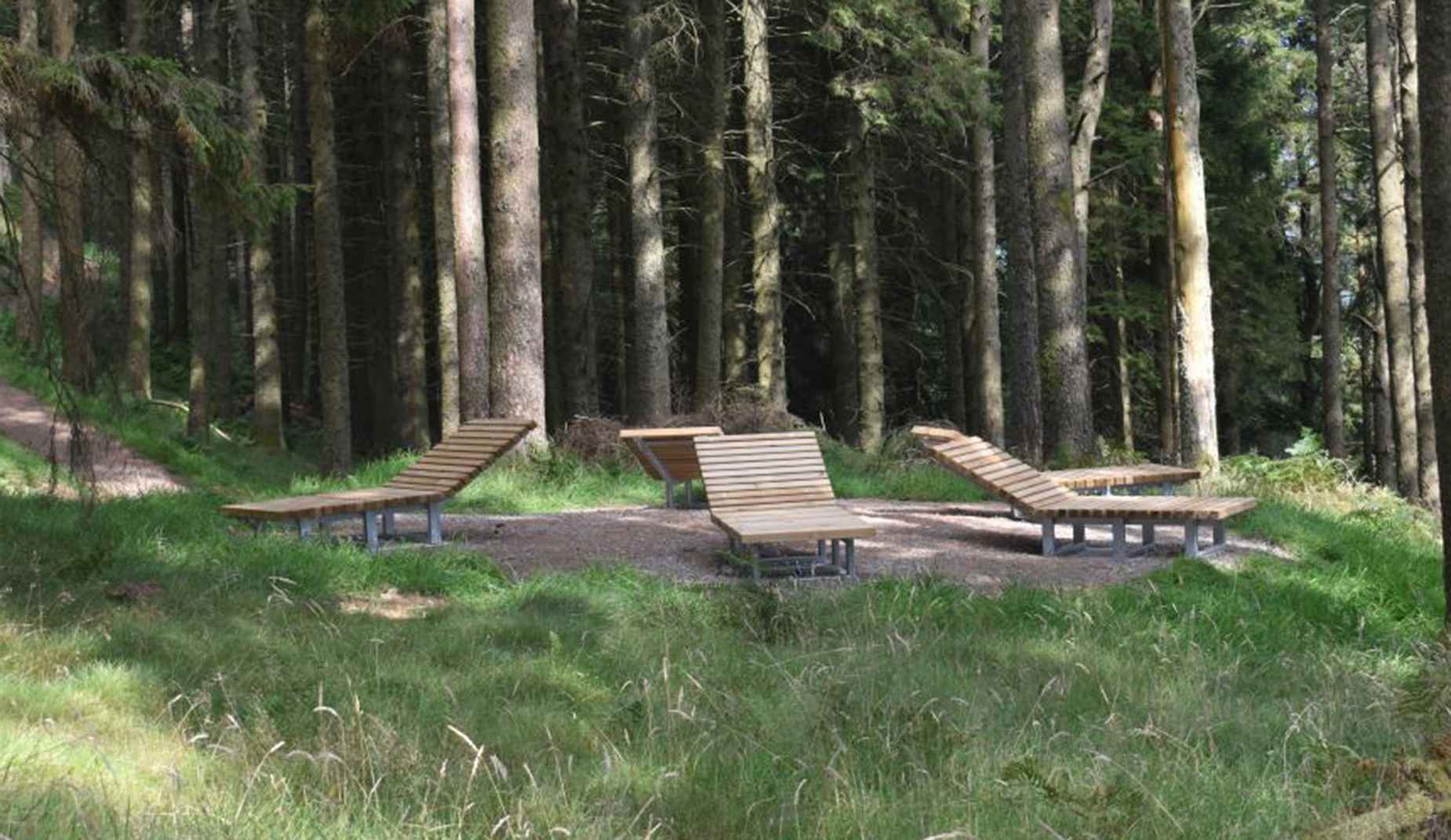Tord lounger in hardwood Factory Furniture