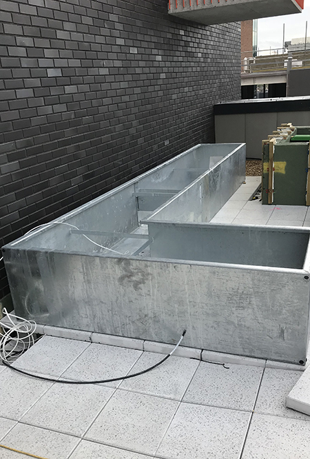 Box Back